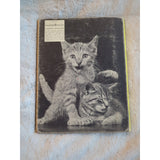 Vtg Listen Listen Ylla Crosby Newell Bonsall Kitten Photos Book 1961 HC Ex Lib