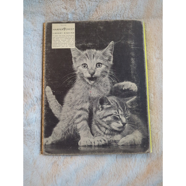 Vtg Listen Listen Ylla Crosby Newell Bonsall Kitten Photos Book 1961 HC Ex Lib