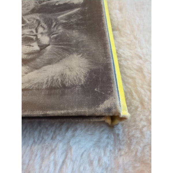 Vtg Listen Listen Ylla Crosby Newell Bonsall Kitten Photos Book 1961 HC Ex Lib