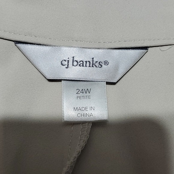 NWT Christopher & Banks Beige Classic Fit Straight Leg High Rise Pants 24WP