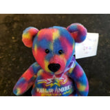 1997 Mall Of America Groovy Bean Bag Bear Plush Toy Teddy Bear