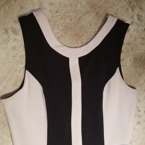 Jack by BB Dakota Black and White Midi Dress Size 6