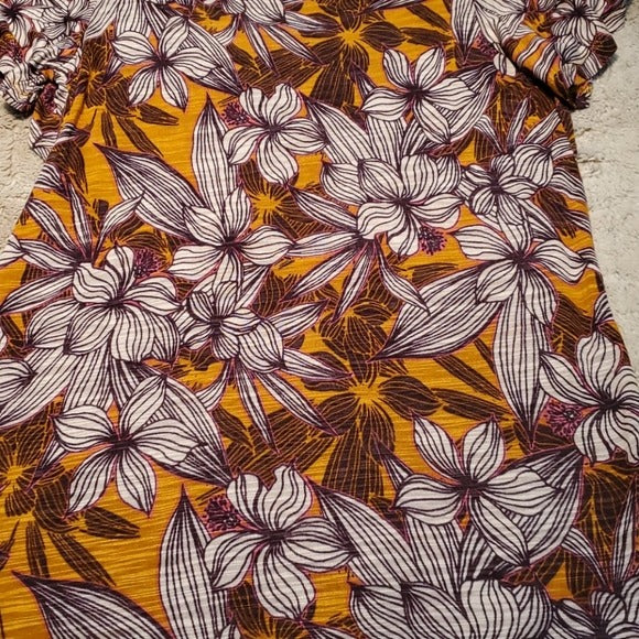 NWT Cable & Gauge Short Flutter Sleeve Open Back Tee Size S