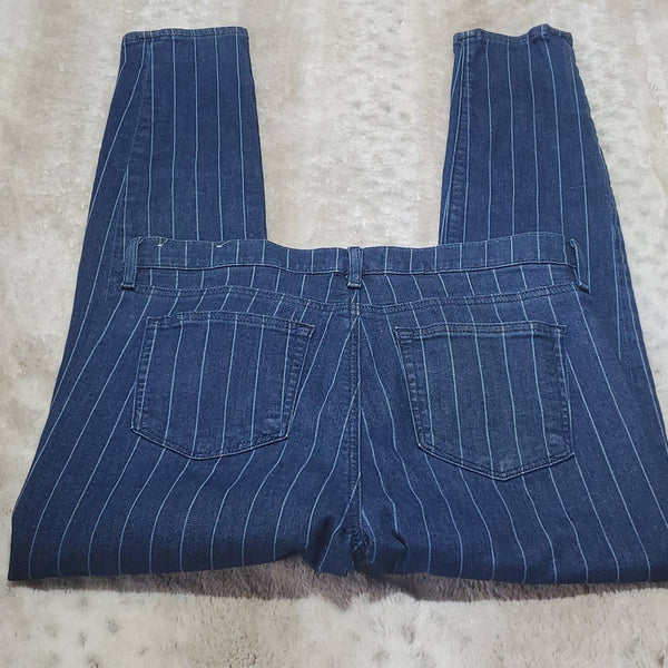 Ann Taylor LOFT Striped Skinny Blue Jeans Size 10